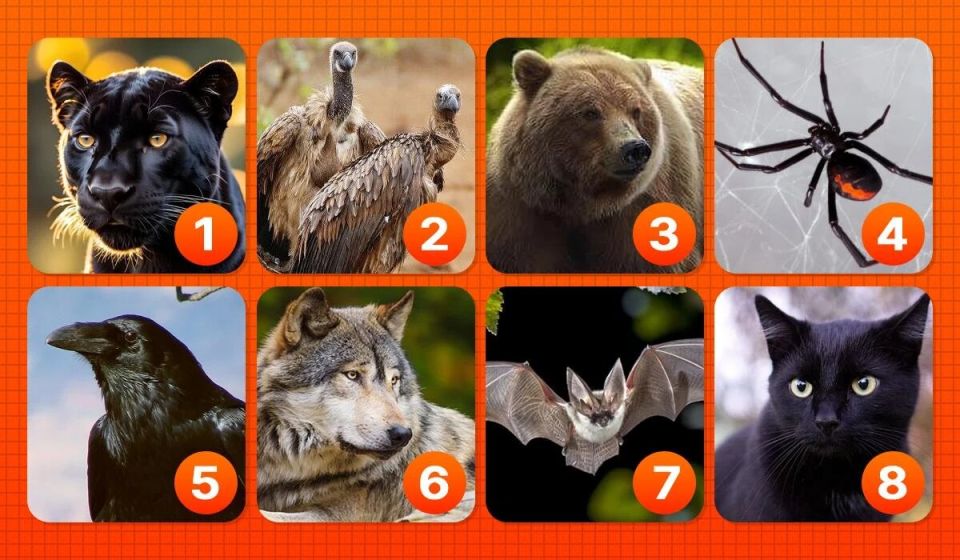 ��� ���� ������� �������� �������� ������ ������� ����� ��������?