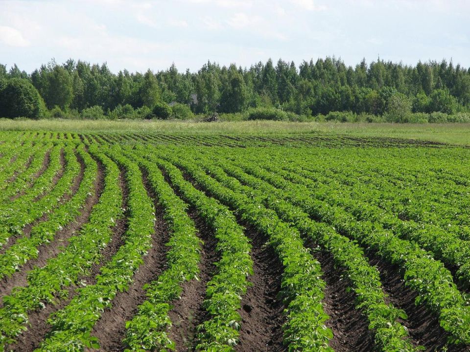 ��� �������� 50 ���� ��������� � �����: ������������ ������ ������