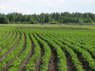 ��� �������� 50 ���� ��������� � �����: ������������ ������ ������