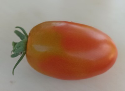 ��� ����� ������� � ������� �������� �������� ��������� ������ ���