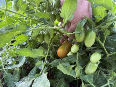 ��������� �����������: � ���� �������� ���������� ����� "���� �������"