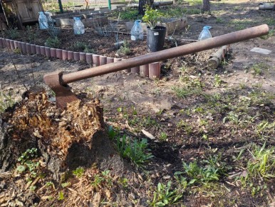 ���������� ���� �� �������: ������� � ����������� ������