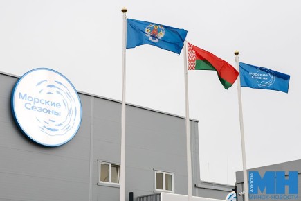 � ��������� ������������ ������� ����������� �������������������� �����