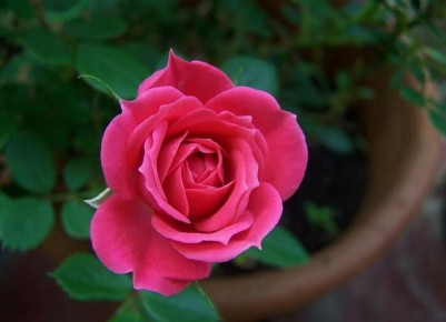 ����� �� ����������: ��� ����� ����� � ������ ����� �� ������