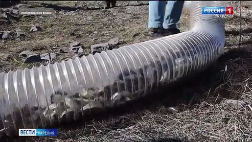 ����� 34 ������ ������ ������ ��������� � ���� ���