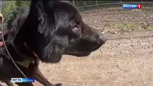 Пограничное управление ФСБ России по Республике Карелия возглавил Владимир Щемелинин