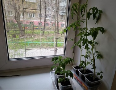 �������� ������� �������: ��� ������� ����� ����� ���������