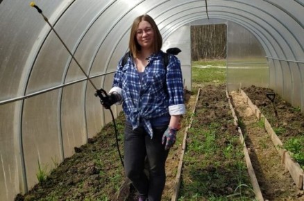 Как весной подготовить теплицу к сезону: эффективные средства для уборки