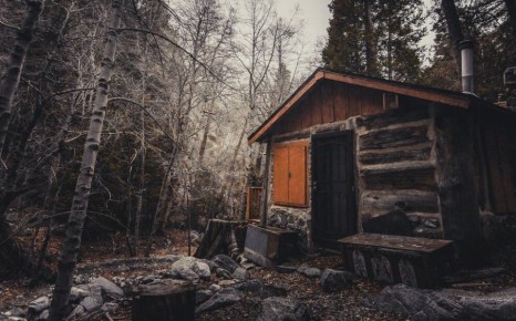 Как Пашка потерялся в родном лесу