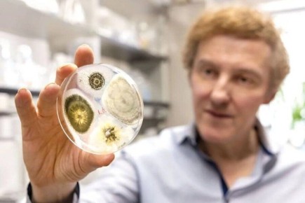 ����-������: ������ ������� ��������� ������ ������ �������