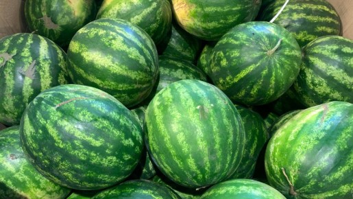 ��� ������� ��������� �����: ������� ��� �������� �����������