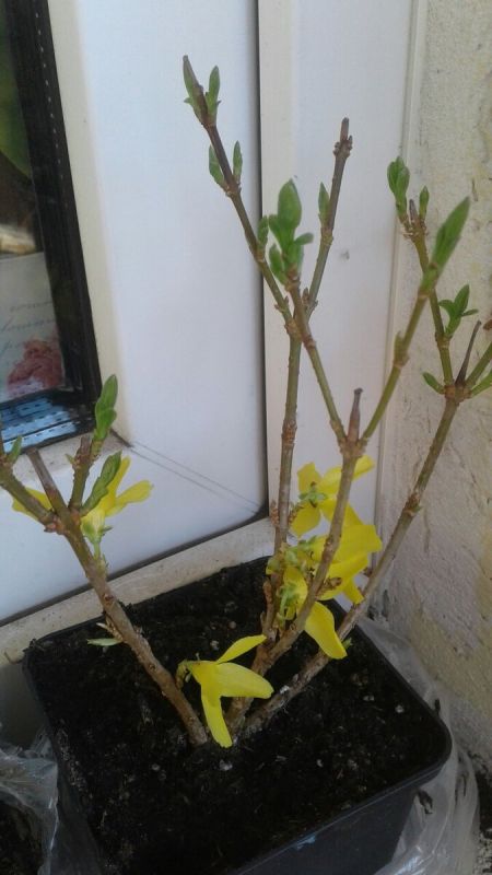 �������� ��������: ��������� ���� � ����� ����