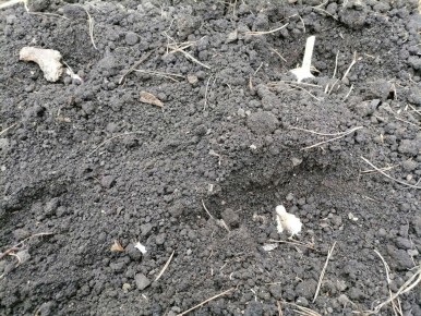 ������ �� ����� �������: ���������� ������������ � ����������� ������