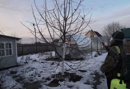 ��� ����������� ��� � ����: ������ �� ������� ���������