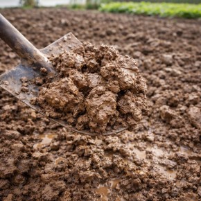 ��� ���������� ������ ����� � ����������� �����: ������� ������ ��� ��������