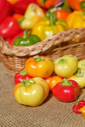 ����� ����� ��� ��������� �����������: ����� ������� ������