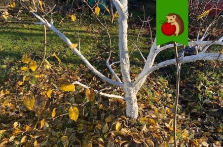 5 ������ ��� ������, ������� ����� �������� �� �����