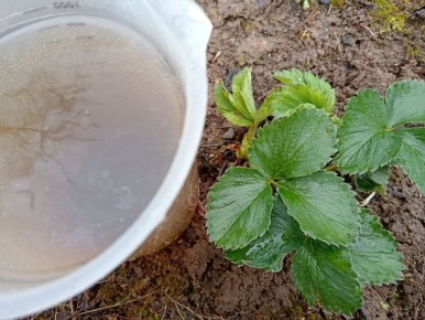 ��� ��������� �������� �������� � ������ ��� ������� � ������� ����