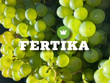 ��� ��������� ��������: ������ � ������� ��������� �����