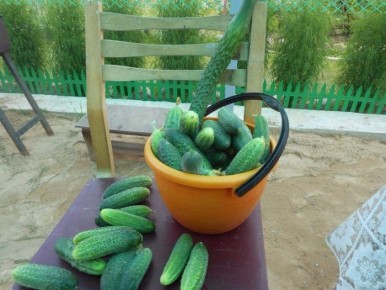 ������ ������: ������ �������� ������ � ����� �������