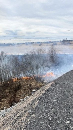 ����� ��������� ����� ������������� ����� �����i���� � ���������