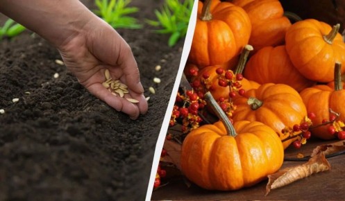 ����� ����� ����� ������ �����: ������� ��������� ������