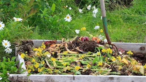 ��� �������������� ����������� ������������ ������� � ���������� �� ����������