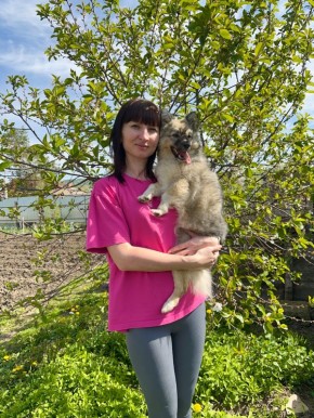 ������ ���� � ������ �������: ������� �������� � ������ ��� ���� �����