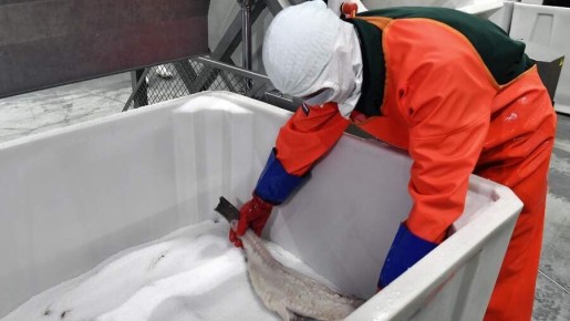 ����� �������� �� ����������� �� ���������� ����� ����