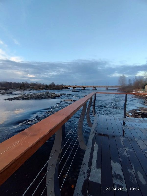 ���. ���� ������� ����������