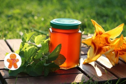 ������ �����: ����� ������������� � ����� ��������