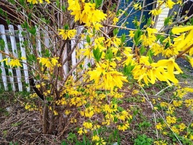 ��������: ������� ������� � ����� ����� ��������