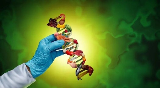 ��� ����� ����������?