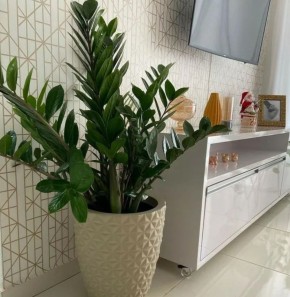 ���������� ������: ������� ����������� ������������� ��� ������ ����