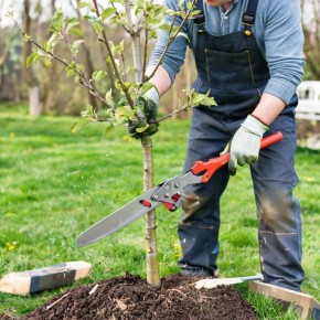 ������������ ������������� ������