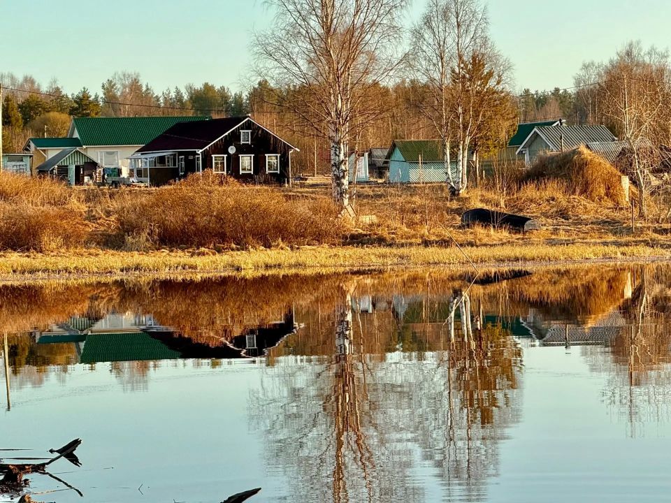 ���� ������� ��������