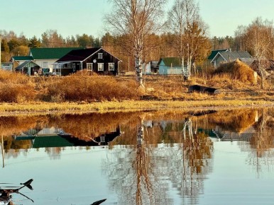 ���� ������� ��������