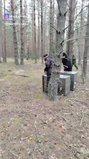 ���� ��������-����� ��������� �� ���� � ��������� ���������, ������� ����� ������� ����� �����������