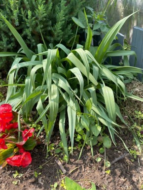 ��������� ������� � ����: ������ � ��������� ��������