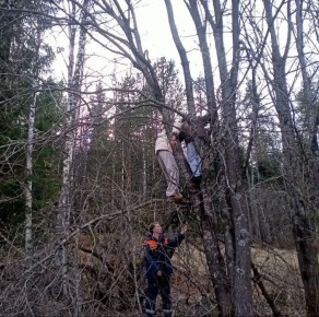 ������� ��� ���� ��������� �� ������� �� ������