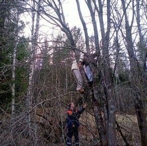 � ������� ������� ������ ����� �� ������