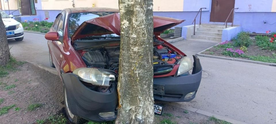 Автомобиль с нетрезвой автоледи за рулем врезался в дерево в Питкяранте