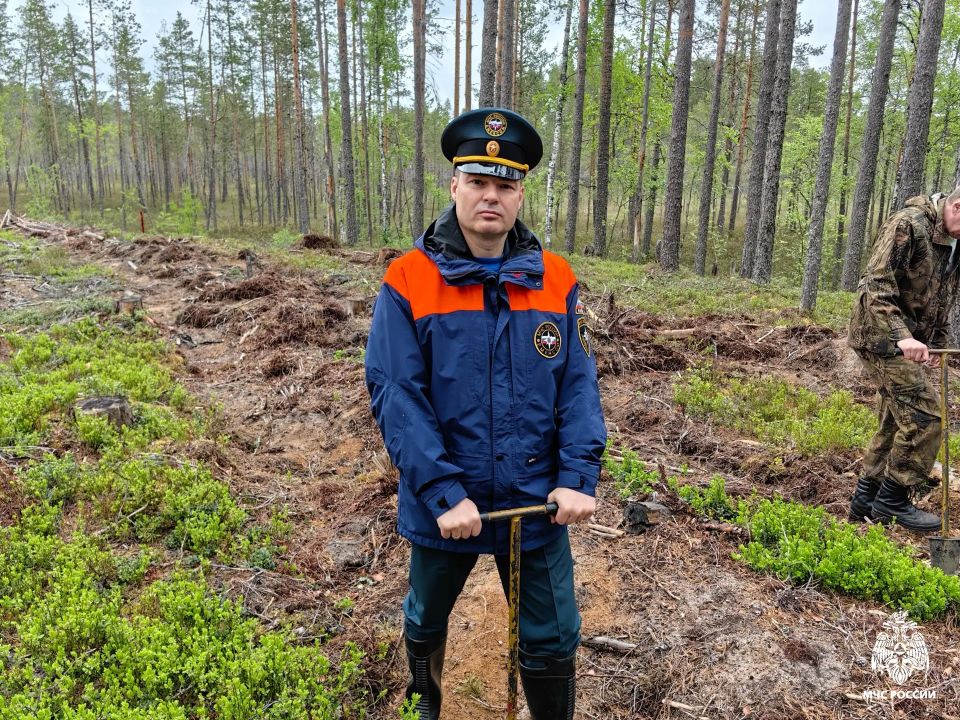 Сохраняя природу: МЧС Карелии приняло участие в акции «Сад памяти» Сохраняя природу: МЧС Карелии приняло участие в акции «Сад памяти»