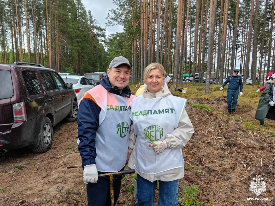 Сохраняя природу: МЧС Карелии приняло участие в акции «Сад памяти» Сохраняя природу: МЧС Карелии приняло участие в акции «Сад памяти»