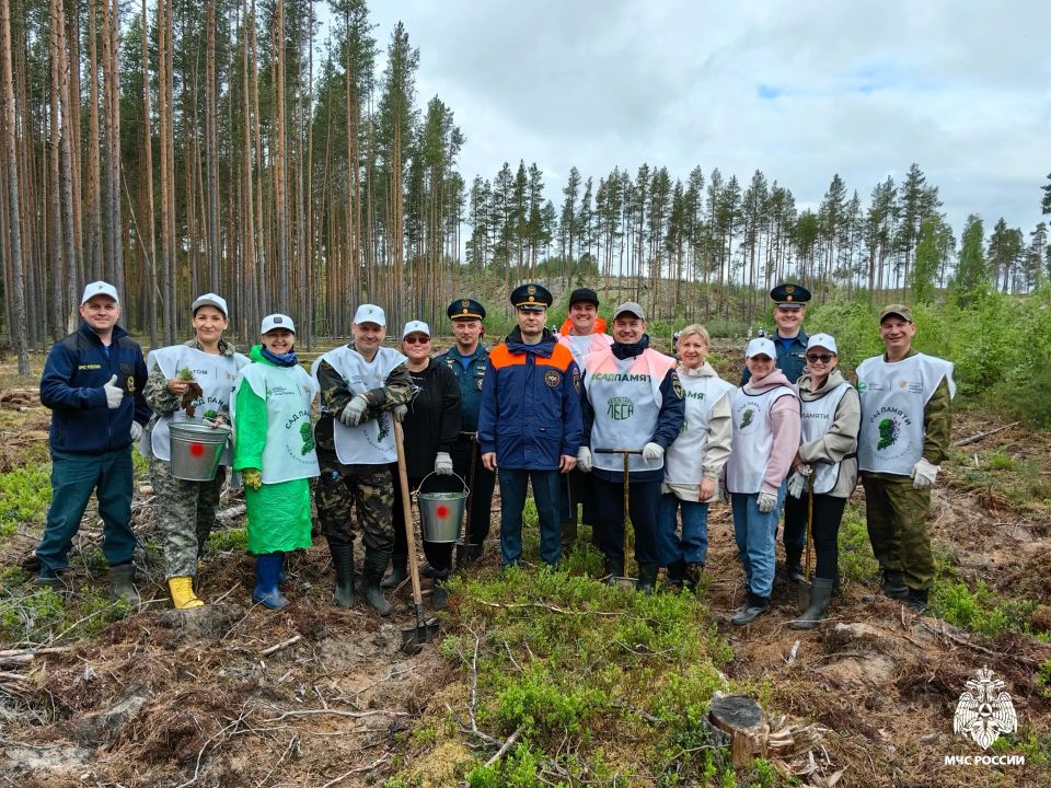 Сохраняя природу: МЧС Карелии приняло участие в акции «Сад памяти» Сохраняя природу: МЧС Карелии приняло участие в акции «Сад памяти»