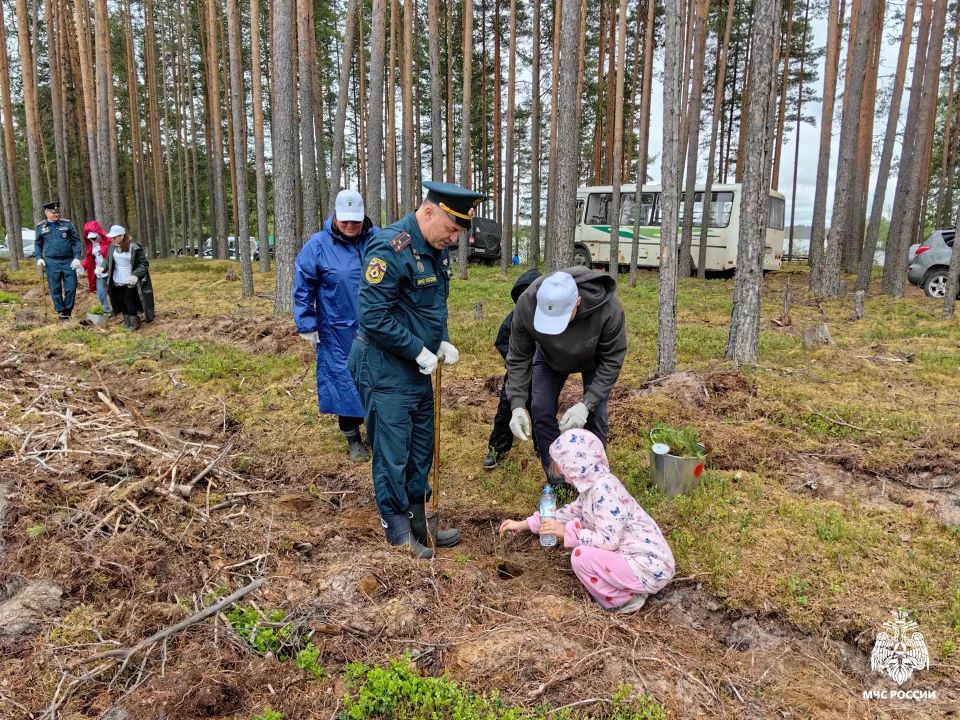 Сохраняя природу: МЧС Карелии приняло участие в акции «Сад памяти» Сохраняя природу: МЧС Карелии приняло участие в акции «Сад памяти»