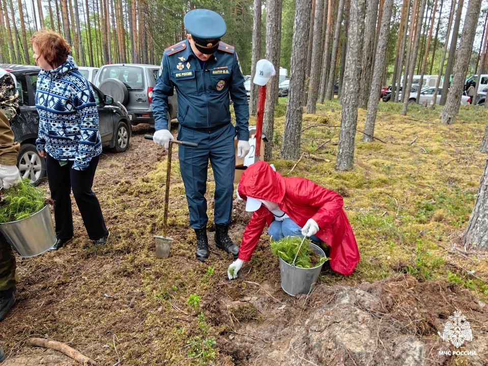 Сохраняя природу: МЧС Карелии приняло участие в акции «Сад памяти» Сохраняя природу: МЧС Карелии приняло участие в акции «Сад памяти»