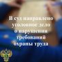 В прокуратуре города Петрозаводска утверждено обвинительное заключение по уголовному делу в отношении директора производственного предприятия