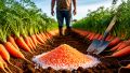 Как волшебная соль спасает морковь от уродцев
