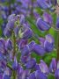 Фото Марии Ореховой